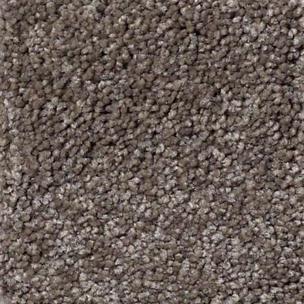 Shaw Floors That's Right Rustic Taupe SHAW