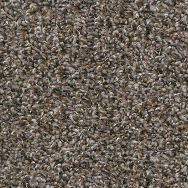 Shaw Floors Soft Effervescence Tree Bark SHAW