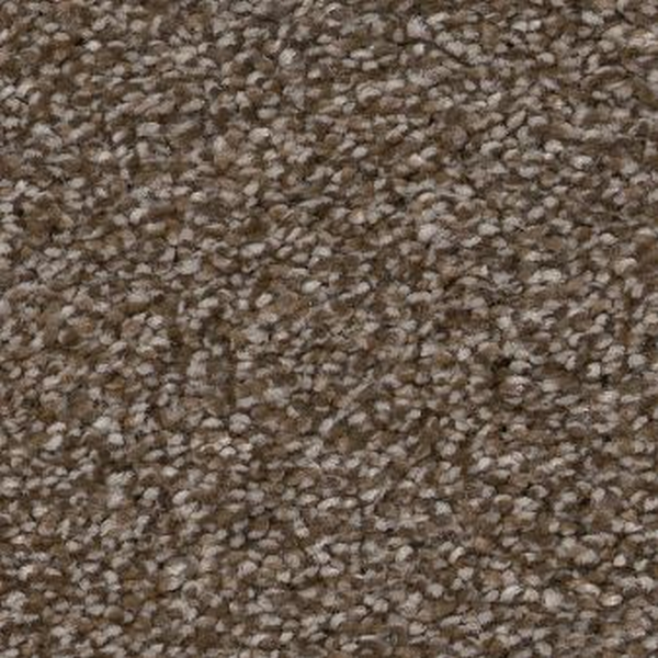 Shaw Floors Truspirit II Chestnut SHAW