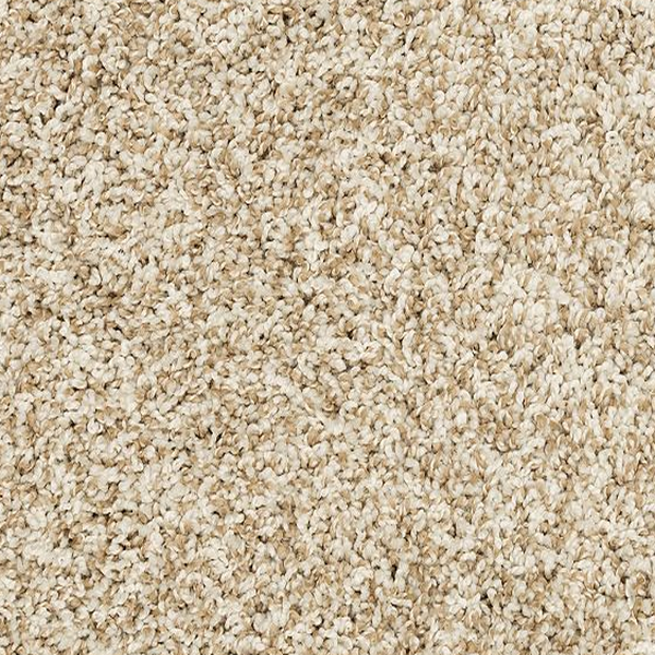 Mohawk Carpet Raise The Woof I Coconut Mohawk