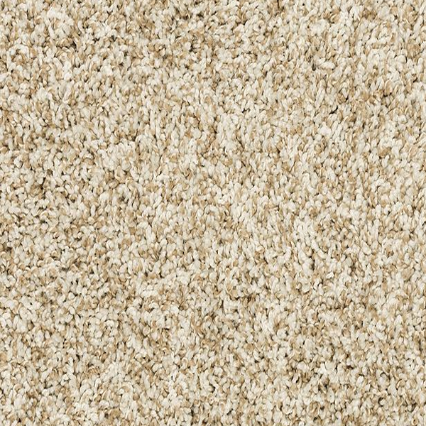 Mohawk Carpet Canine Chic Coconut Mohawk