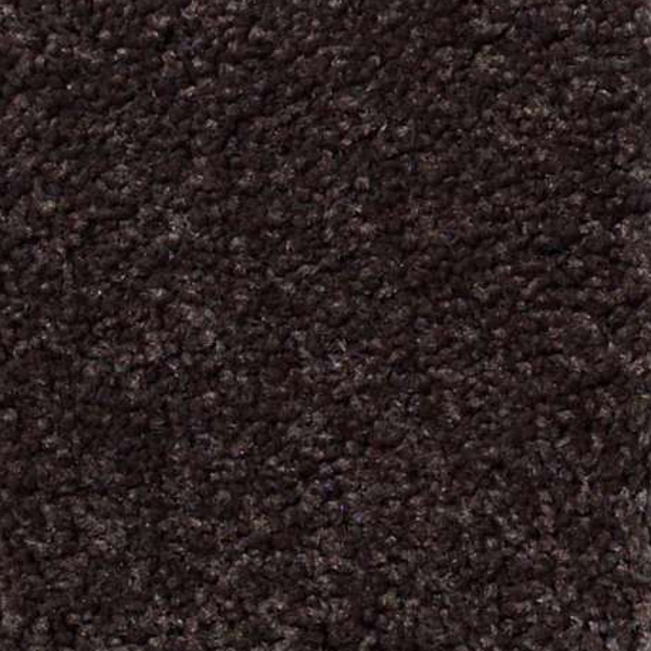 Shaw Floors Magic At Last III 15' Dark Chocolate SHAW