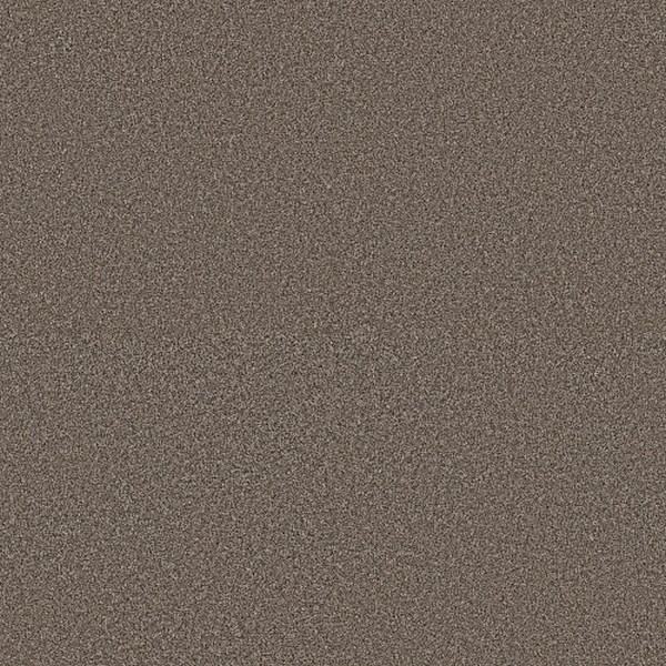 Shaw Floors Affirmation I Havana SHAW