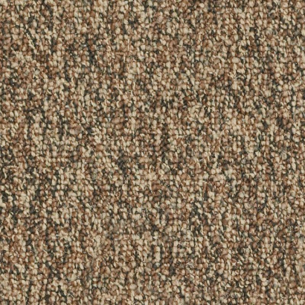 Shaw Floors Invincible 26 Bedrock SHAW