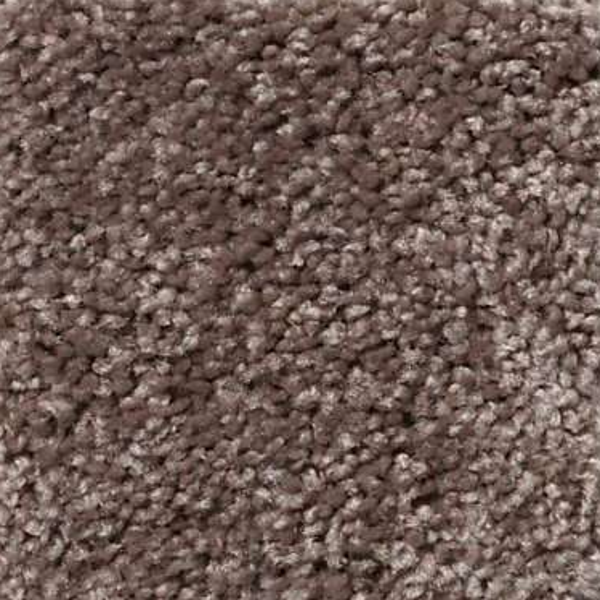 Shaw Floors All Star Weekend I 12' Molasses SHAW