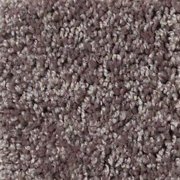 Shaw Floors All Star Weekend III 12' Molasses SHAW