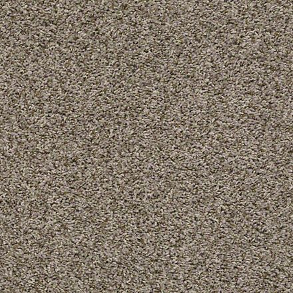 Shaw Floors Break Away (T) Nature Trail SHAW