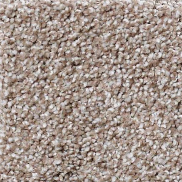 Shaw Floors What's Up Sombrero SHAW