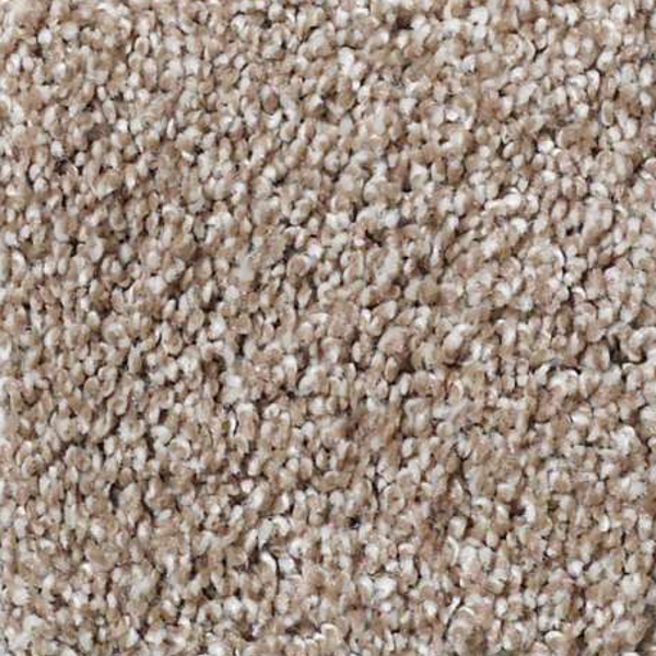 Shaw Floors That's Right Sombrero SHAW