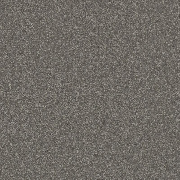 Shaw Floors Awaken Spirit I 12' Taupetone SHAW