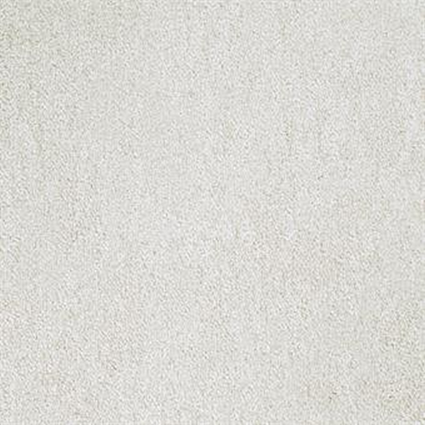 Masland Carpets Buena Vida Arena Masland