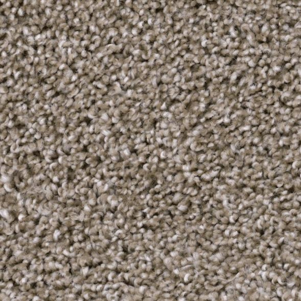 Phenix Carpets Refined Central PHENIX