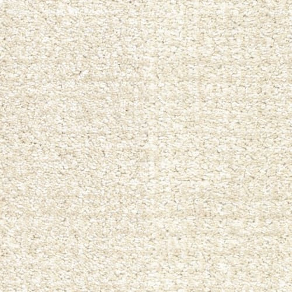 Masland Carpets Pedigree Dog-Gone It Masland