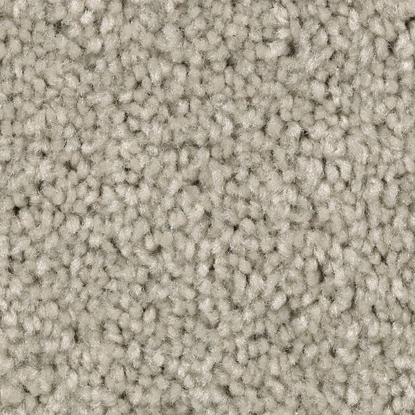 Mohawk Carpet Treasure Valley Timeless Mohawk