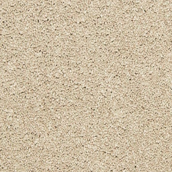 Mohawk Carpet Bold Creation Travel Buff Mohawk