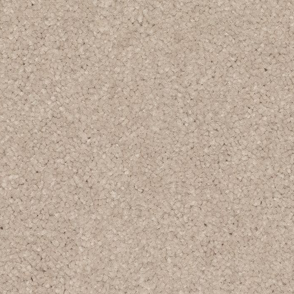 Mohawk Carpet Quality Feeling Almond Shell Mohawk