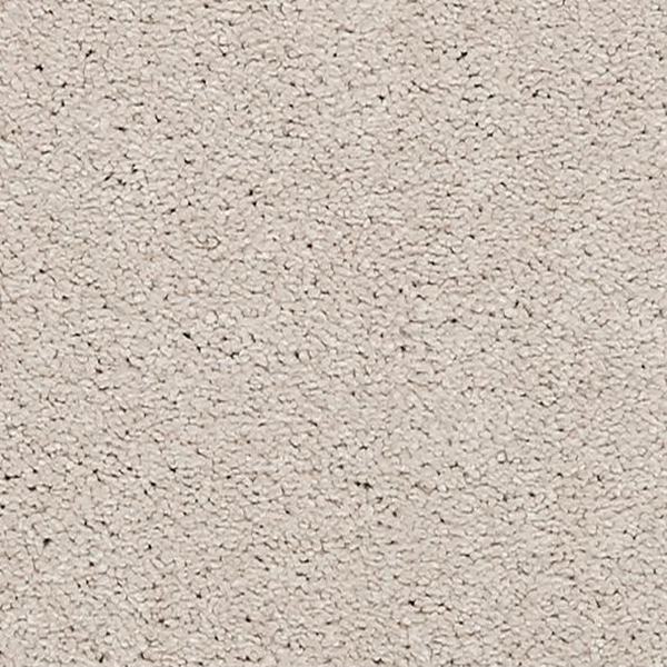 Mohawk Carpet La Jolla Cove I Surf Board Mohawk