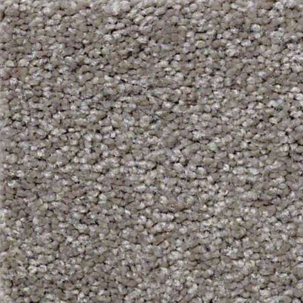 Shaw Floors Something Sweet Barn Wood SHAW