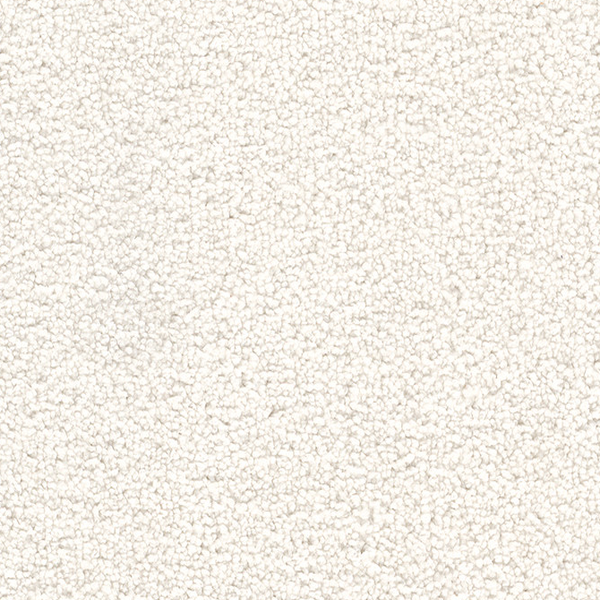 Dreamweaver Carpet Cape Cod Opaline DREAMWEAVER