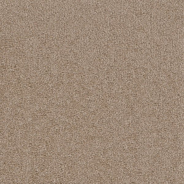 Dreamweaver Carpet Cape Cod Mushroom DREAMWEAVER