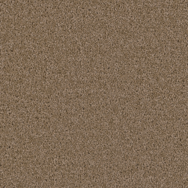 Dreamweaver Carpet Broadcast Plus Sandstone DREAMWEAVER