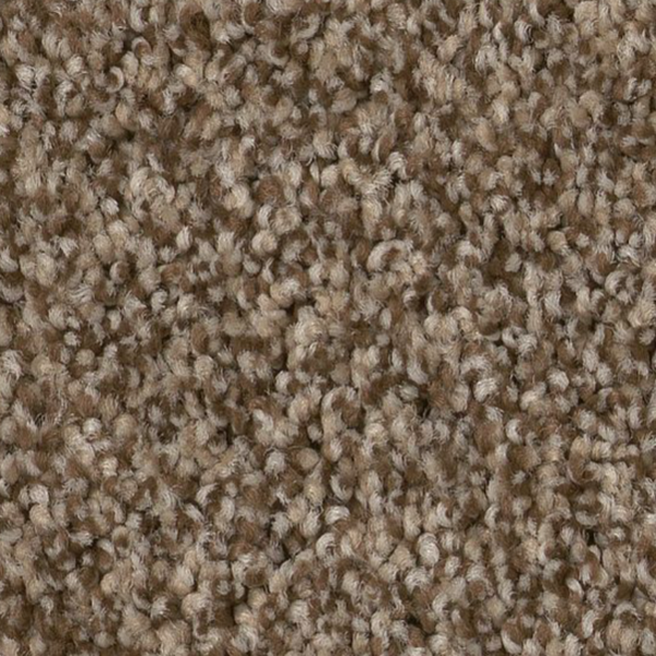 Tuftex Bossa Nova Joshua Tree SHAW