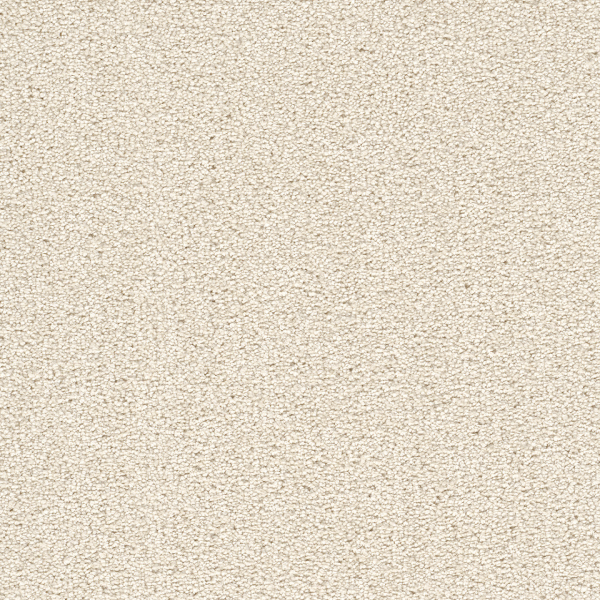 Dreamweaver Carpet Cape Cod Pearlesque DREAMWEAVER