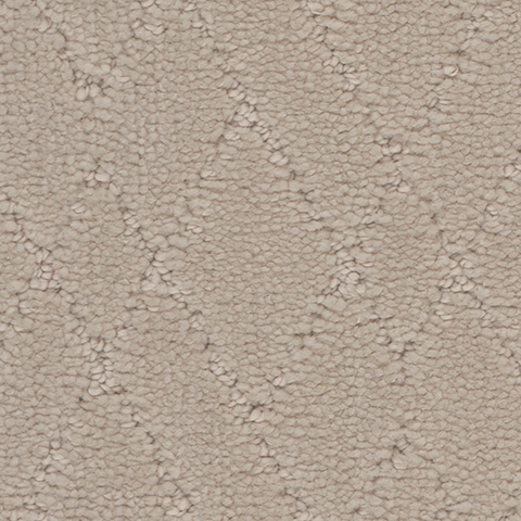 Tarkett Home Carpets Windham Alpine LEXMARK