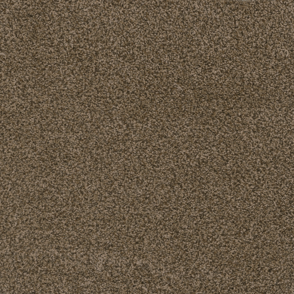 Dreamweaver Carpet Hot Pursuit Bronzite DREAMWEAVER