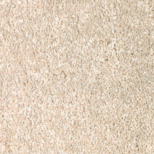 Mohawk Carpet True Harmony Canvasback Mohawk