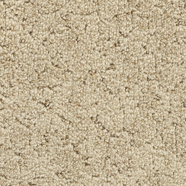Godfrey Hirst Carpets Inspiring Selection Nutria GODFREY HIRST