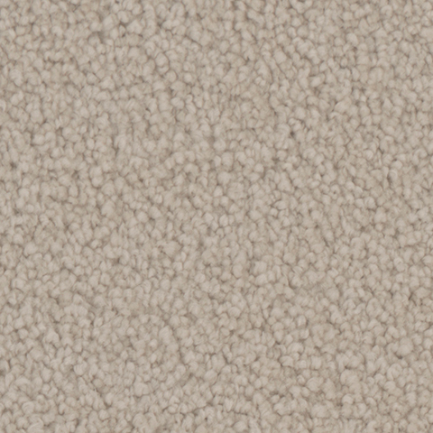 Tarkett Home Carpets Manchester Victorian LEXMARK