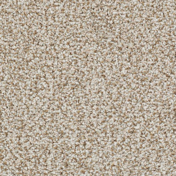 Masland Carpets St Augustine Amazing Masland