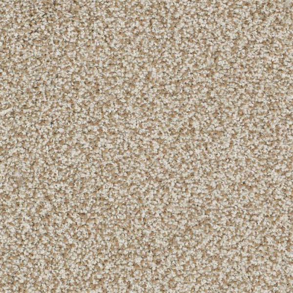 Masland Carpets Sunset Key Amazing Masland