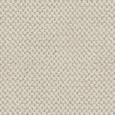 Masland Carpets La Parade French Vanilla Masland