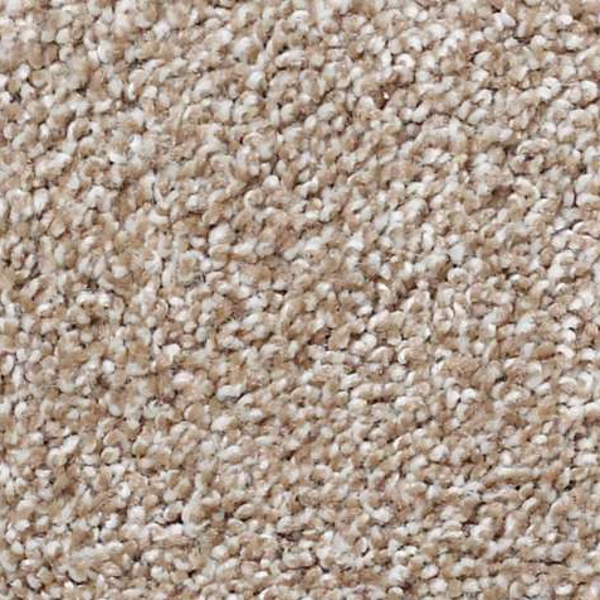 Shaw Floors That's Right Mole Hill SHAW