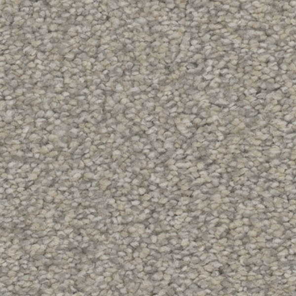 Tarkett Home Carpets Inspire Rejoice LEXMARK