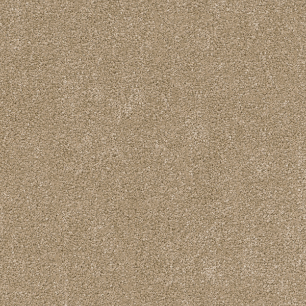 Dreamweaver Carpet Cedar Creek Buff DREAMWEAVER