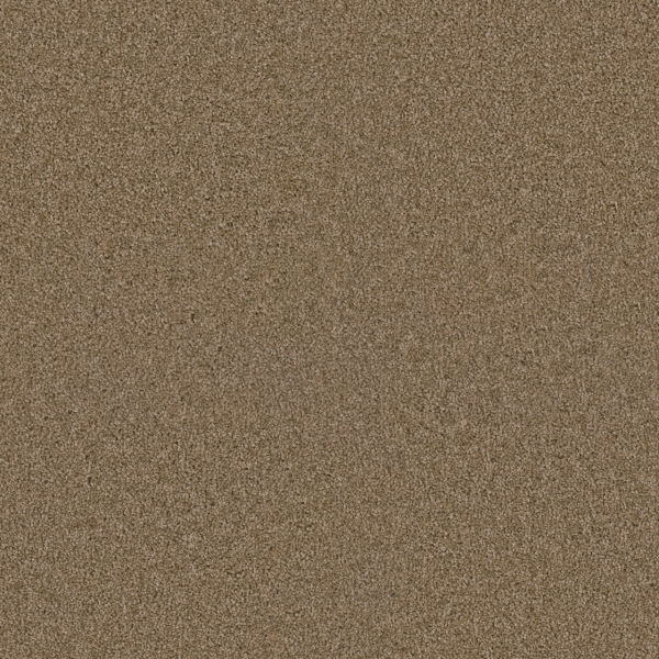 Dreamweaver Carpet Exceptional II Buff DREAMWEAVER