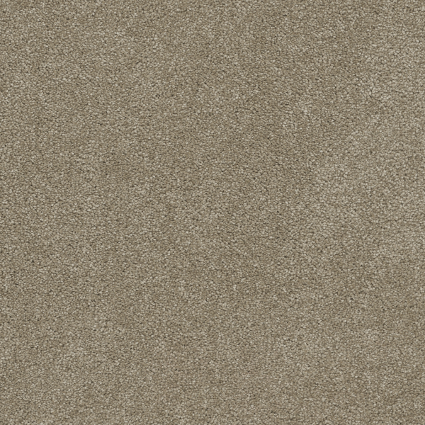 Dreamweaver Carpet Rock Solid II Buff DREAMWEAVER