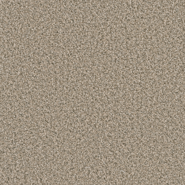 Dreamweaver Carpet Dazzling Oxford DREAMWEAVER