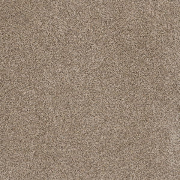 Dreamweaver Carpet Metropolitan II Oxford DREAMWEAVER