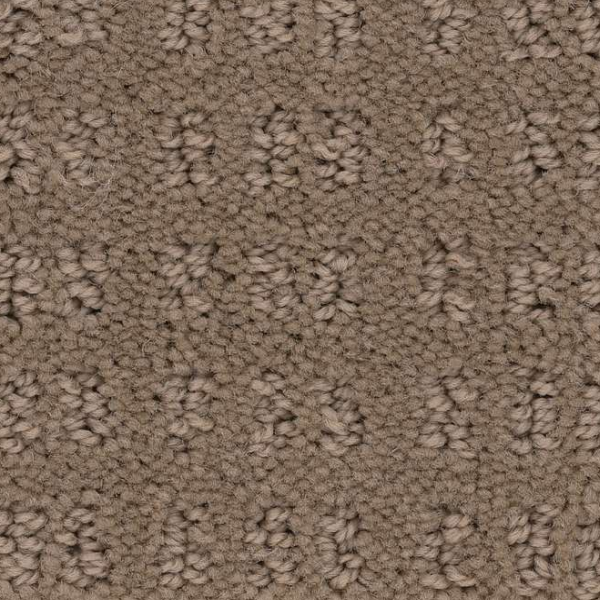 Shaw Floors Essential Now Raw Wood SHAW