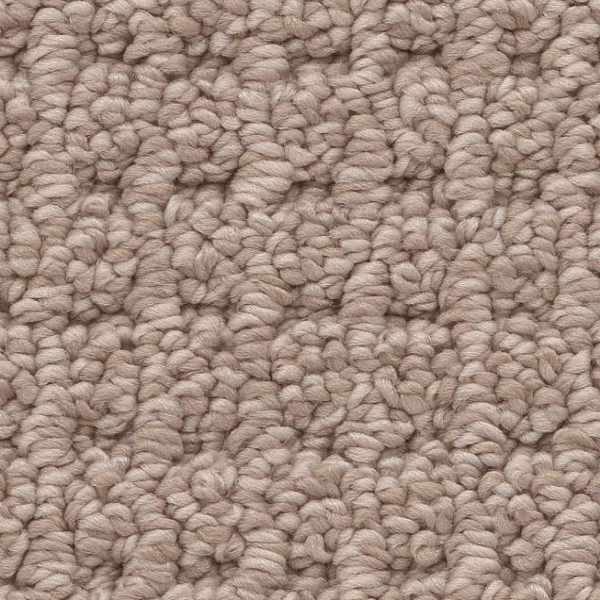 Shaw Floors Faint Intent Raw Wood SHAW