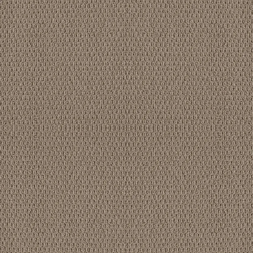 Shaw Floors Naturalistic Raw Wood SHAW