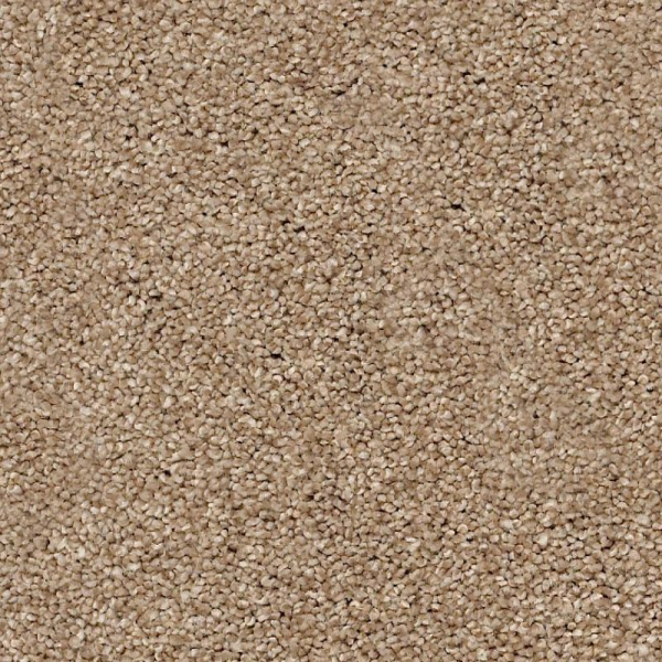 Shaw Floors Your Comfort II Falling Leaves SHAW