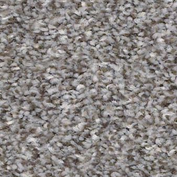 Shaw Floors Make It Mine I Cedar Ridge SHAW