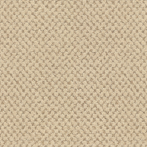 Masland Carpets La Parade Chardonnay Masland