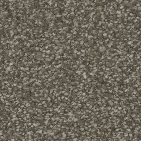 Tarkett Home Carpets Allure Inviting LEXMARK