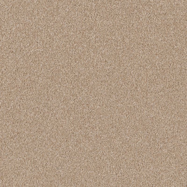 Shaw Floors Your Comfort II alk On The Beach SHAW